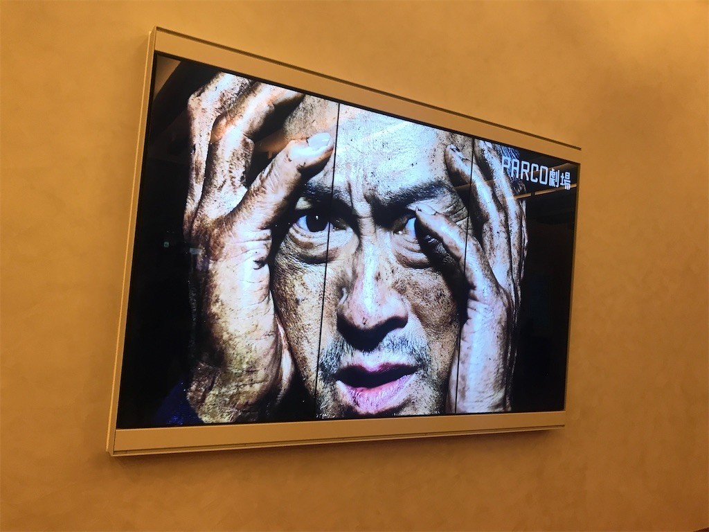 f:id:Magnoliarida:20200213084119j:image f:id:Magnoliarida:20200213084119j:image