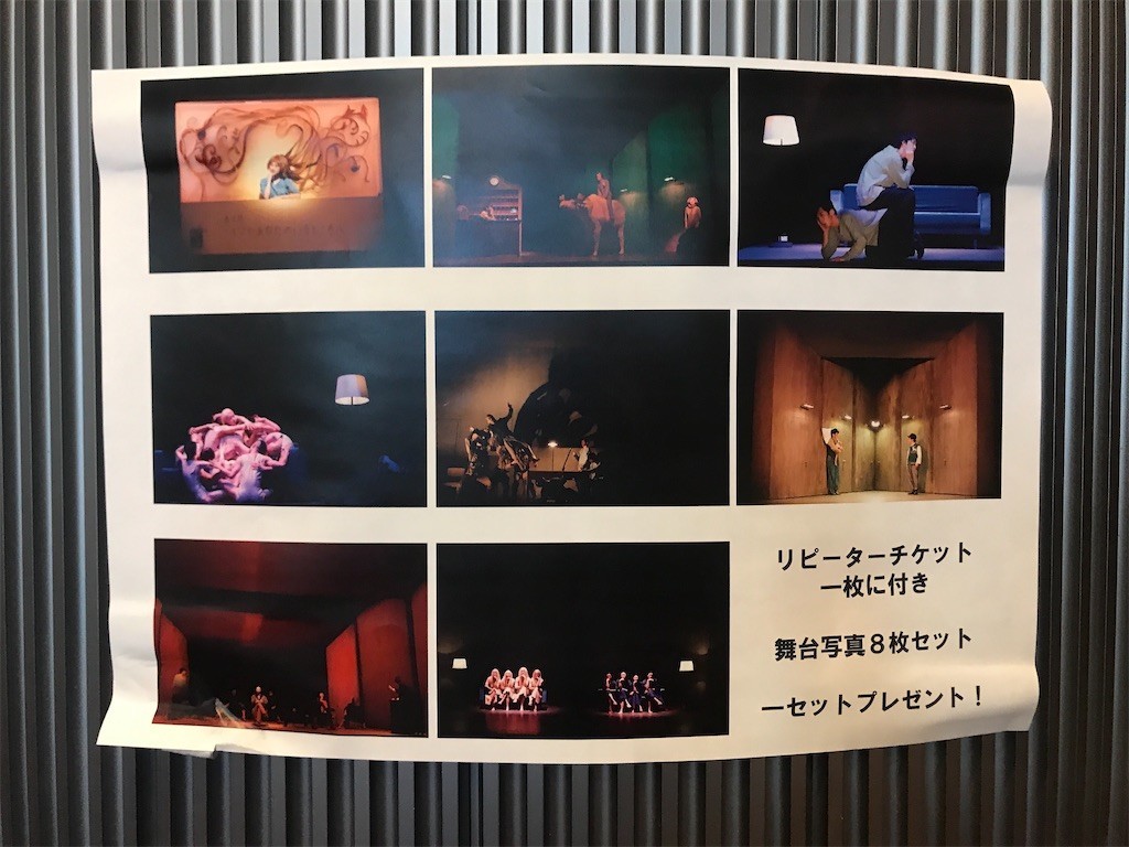 f:id:Magnoliarida:20200224195150j:image f:id:Magnoliarida:20200224195150j:image