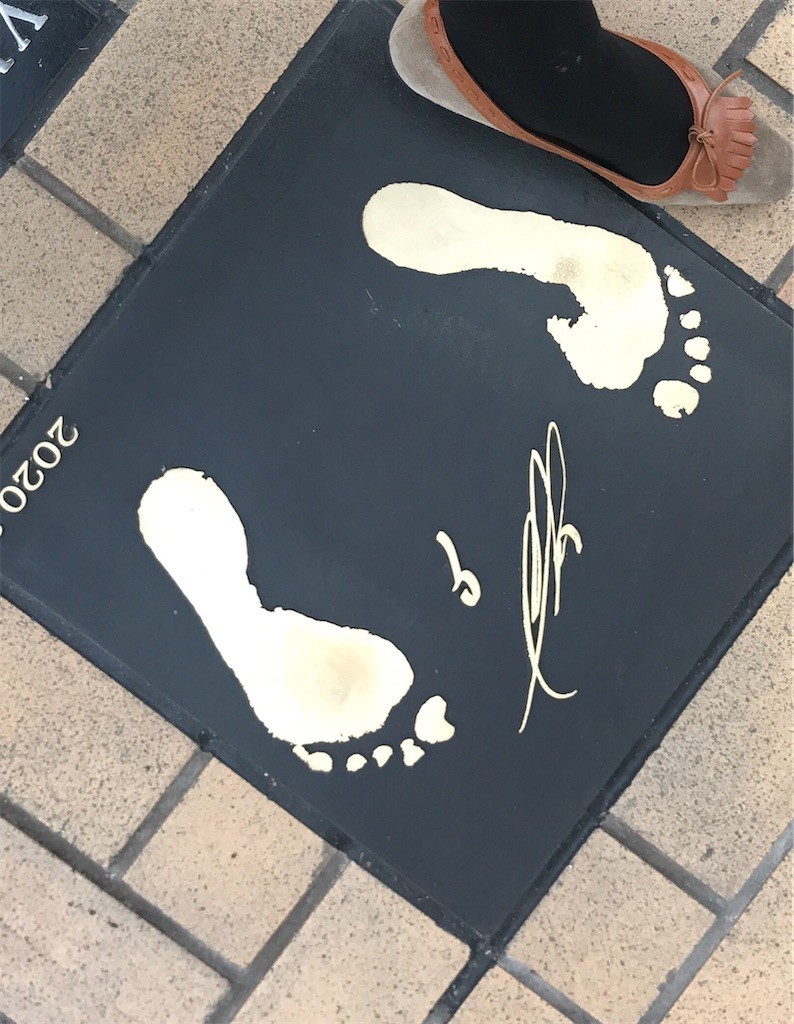 f:id:Magnoliarida:20200301185329j:image