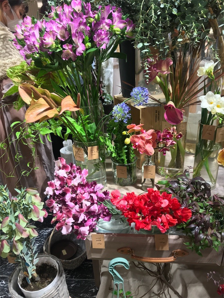 f:id:Magnoliarida:20200301185907j:image