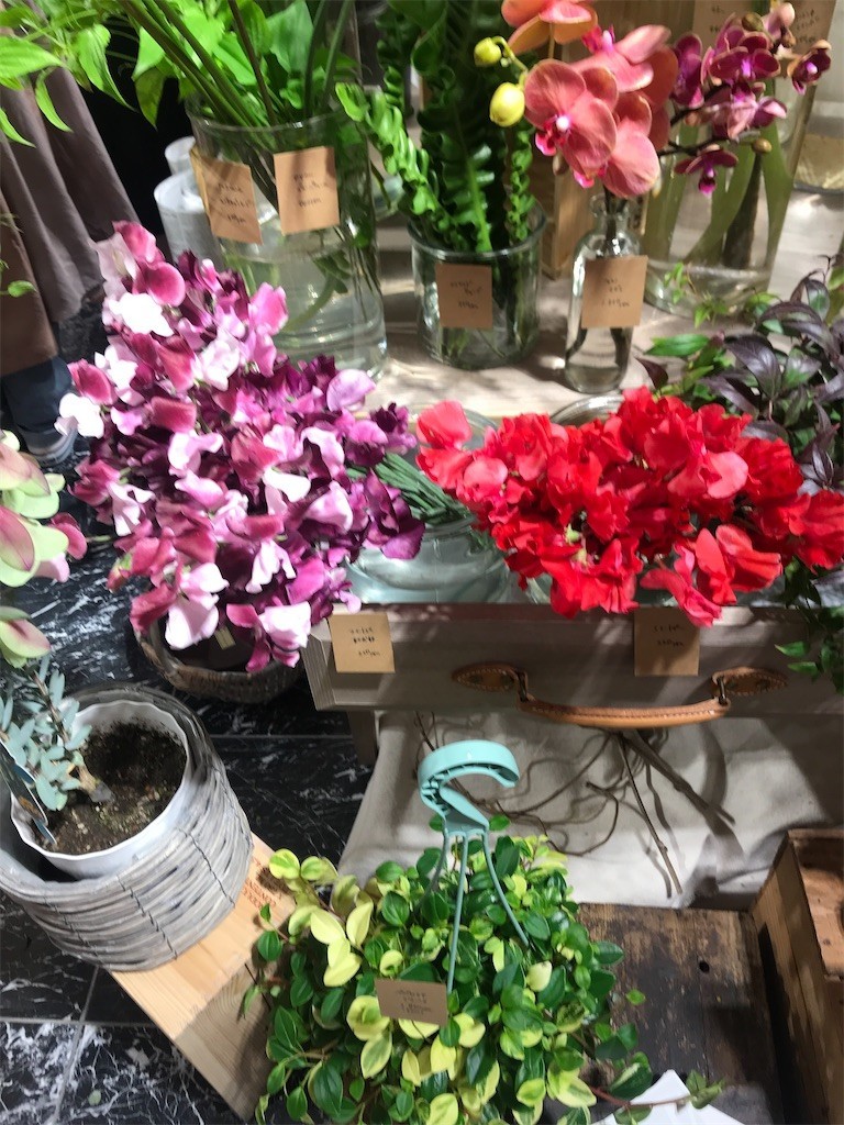 f:id:Magnoliarida:20200301185929j:image