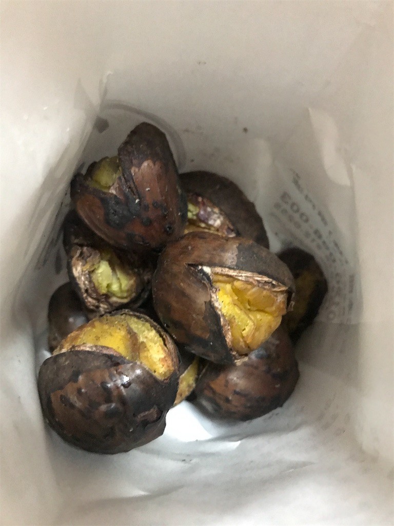 f:id:Magnoliarida:20200301190011j:image