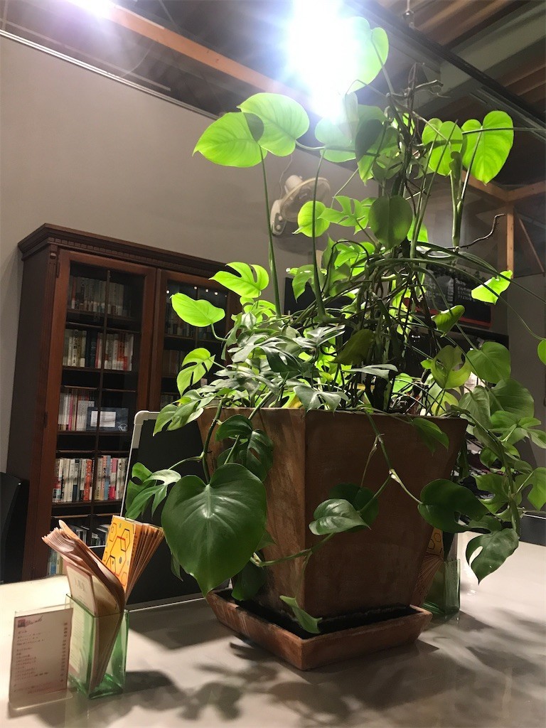 f:id:Magnoliarida:20200321235020j:image