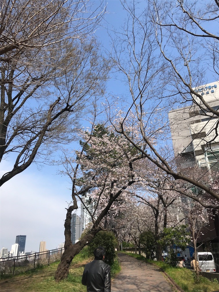f:id:Magnoliarida:20200323142627j:image