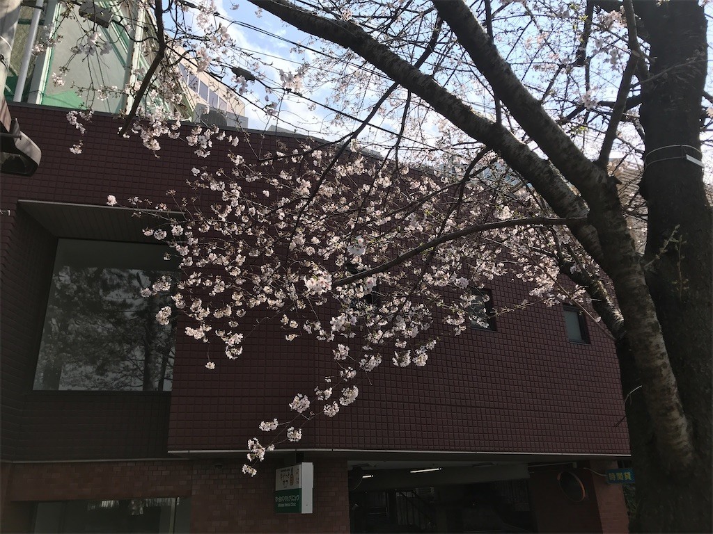 f:id:Magnoliarida:20200323142720j:image