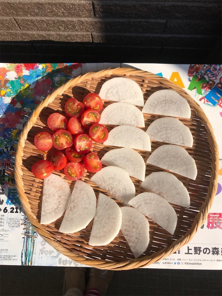 f:id:Magnoliarida:20200411235342j:image