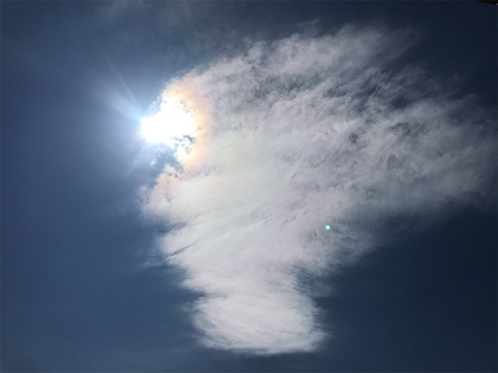 f:id:Magnoliarida:20200411235404j:image