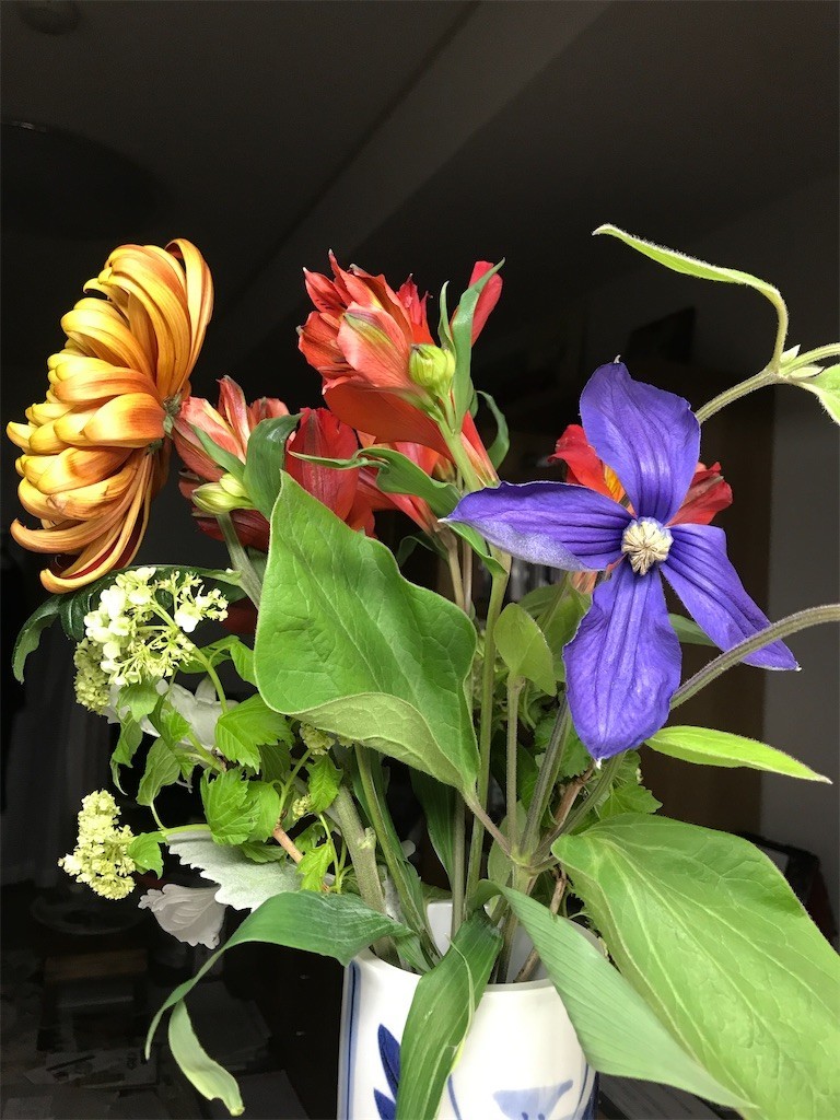 f:id:Magnoliarida:20200429203008j:image