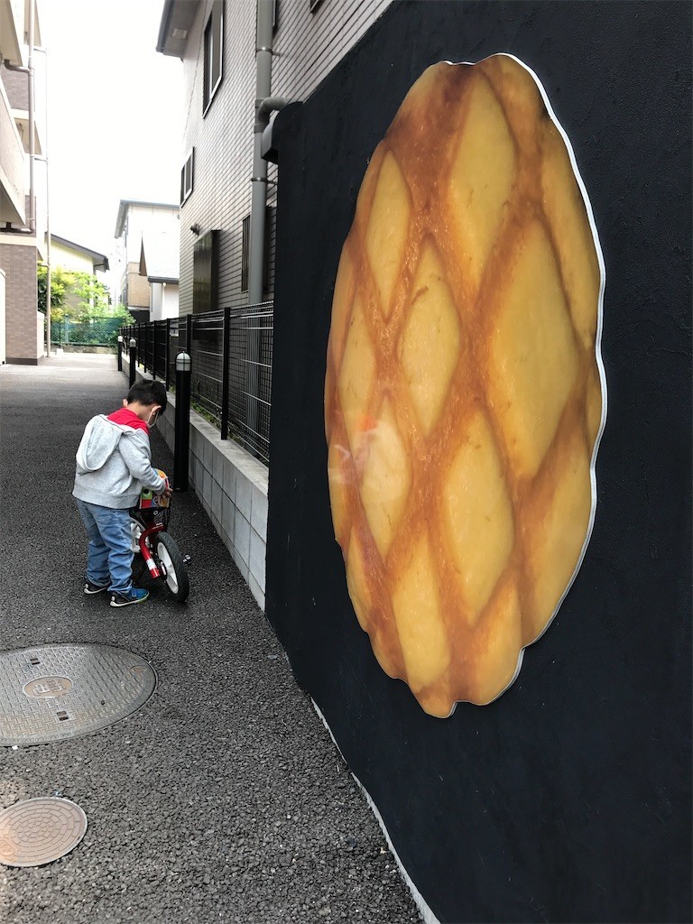 f:id:Magnoliarida:20200430185038j:image