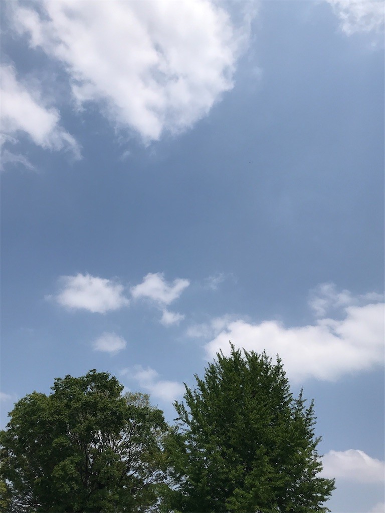 f:id:Magnoliarida:20200430185217j:image