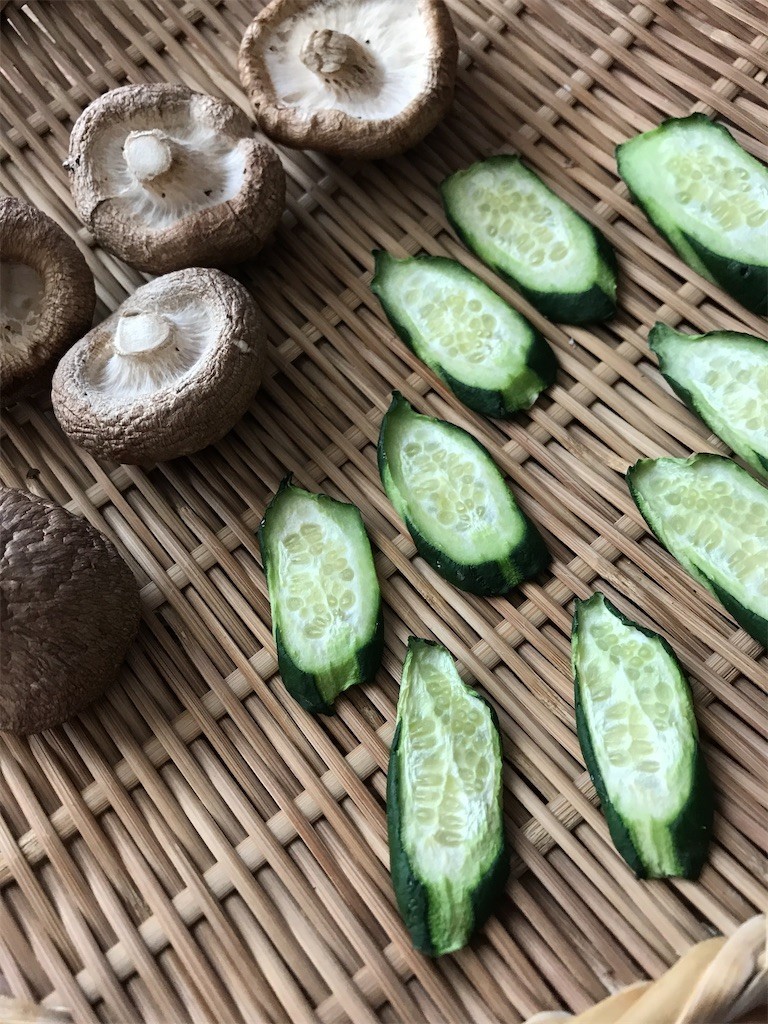 f:id:Magnoliarida:20200430185223j:image