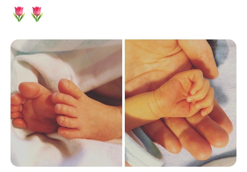 f:id:Magnoliarida:20200505110638j:image