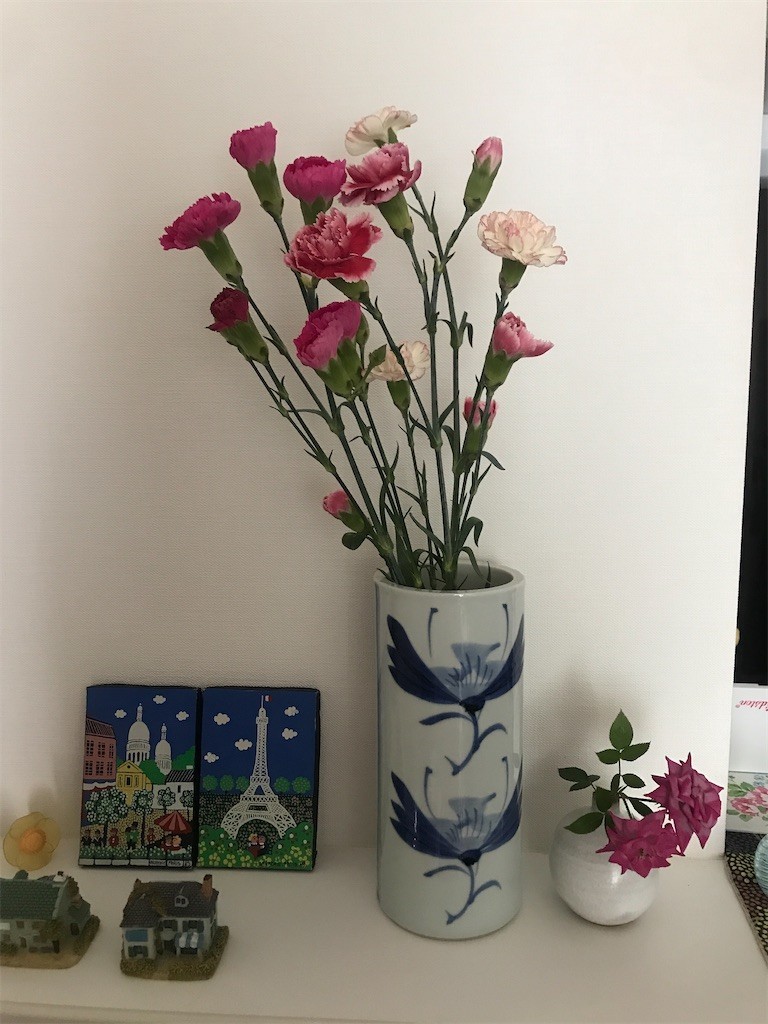 f:id:Magnoliarida:20200517105023j:image