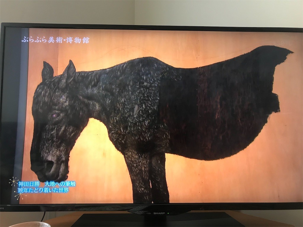 f:id:Magnoliarida:20200527114943j:image f:id:Magnoliarida:20200527114943j:image