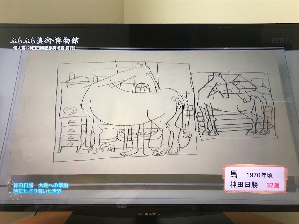 f:id:Magnoliarida:20200527115647j:image f:id:Magnoliarida:20200527115647j:image