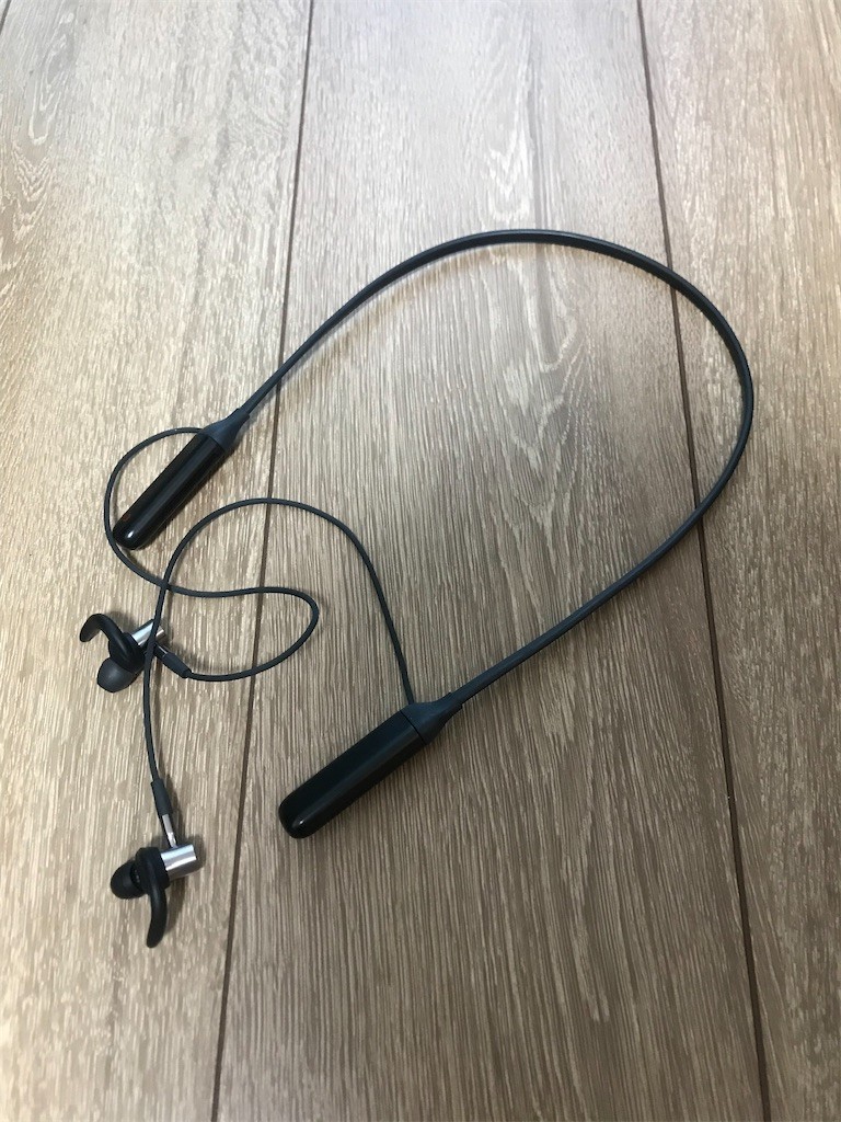 f:id:Magnoliarida:20200607185347j:image f:id:Magnoliarida:20200607185347j:image