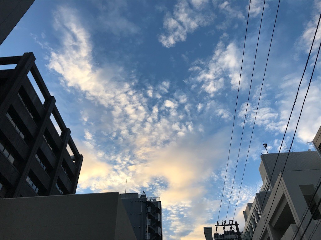 f:id:Magnoliarida:20200610210237j:image