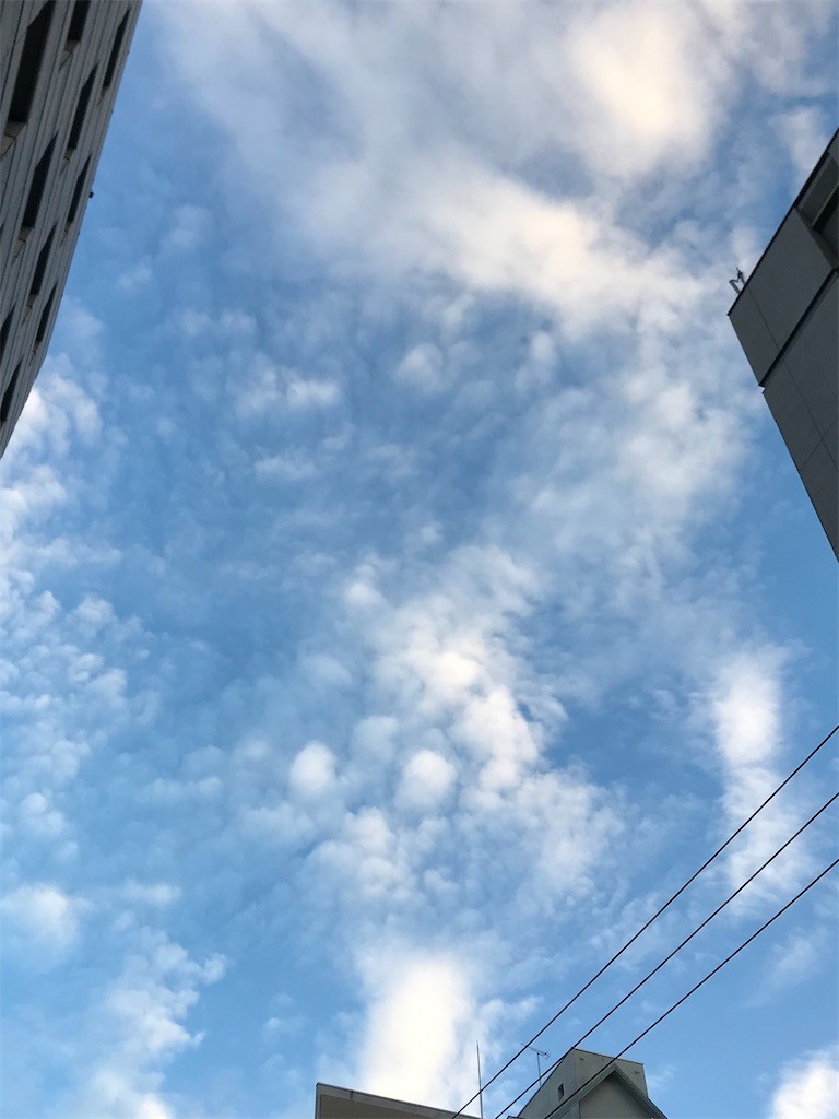 f:id:Magnoliarida:20200610210427j:image