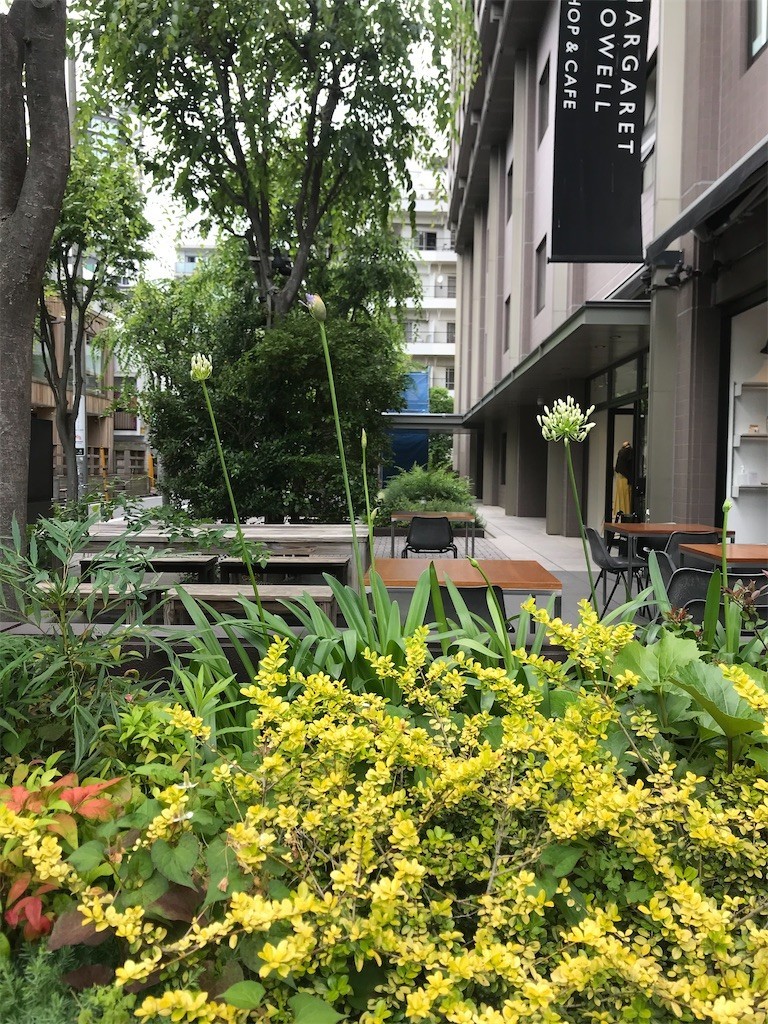 f:id:Magnoliarida:20200611221428j:image