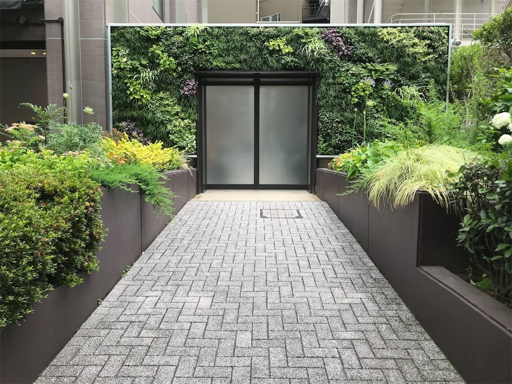 f:id:Magnoliarida:20200611221541j:image