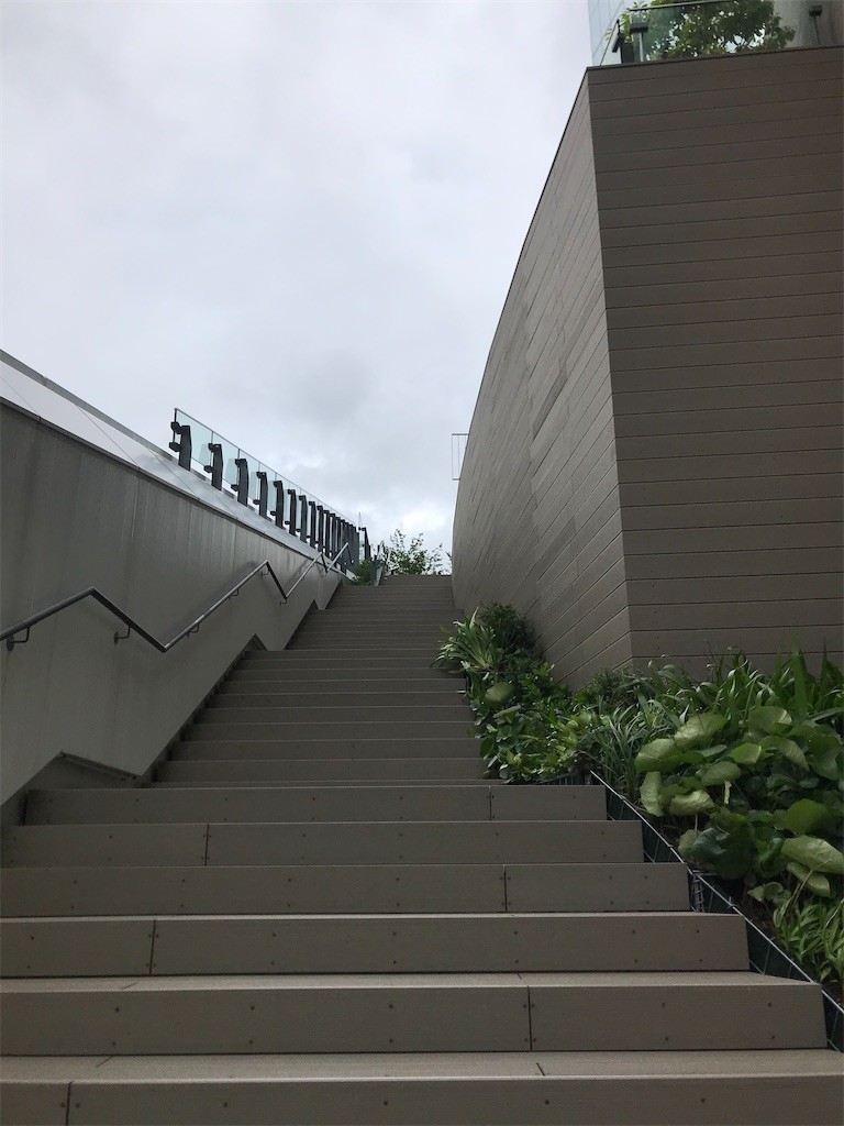 f:id:Magnoliarida:20200611222311j:image