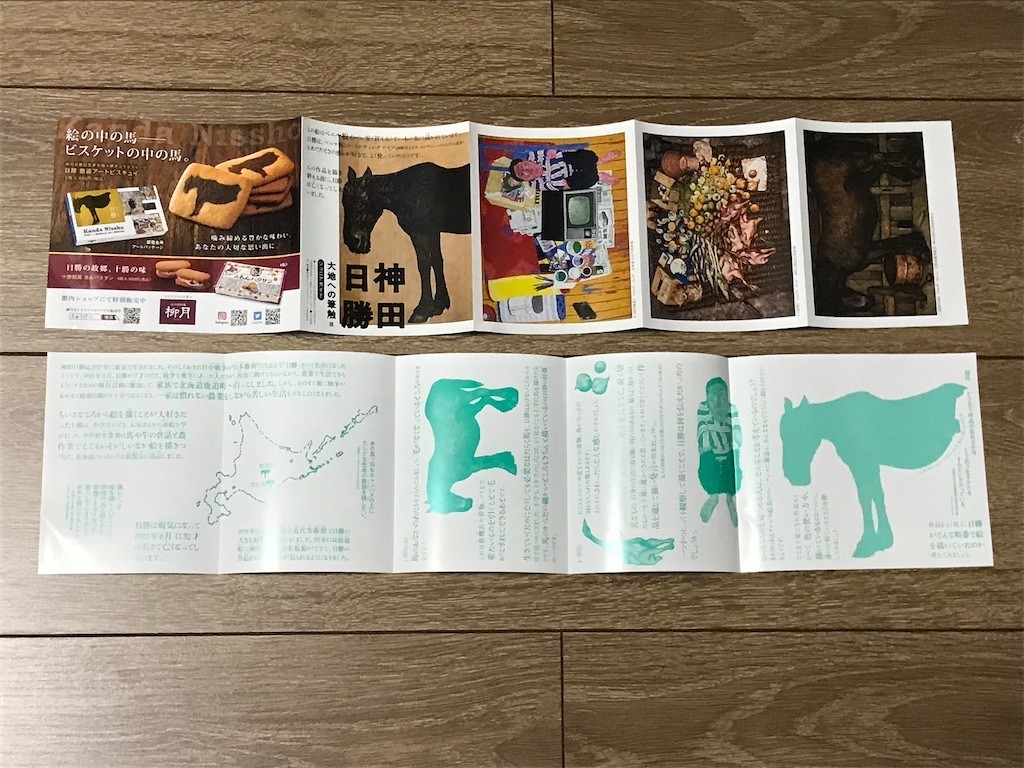 f:id:Magnoliarida:20200612112309j:image