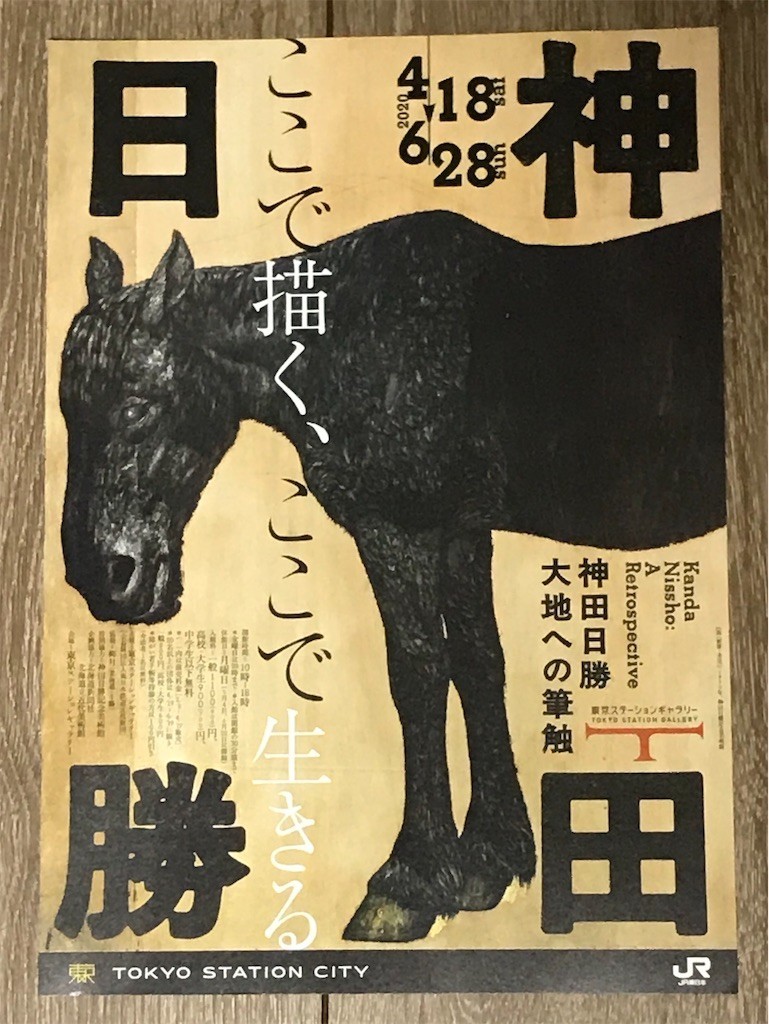 f:id:Magnoliarida:20200612112625j:image