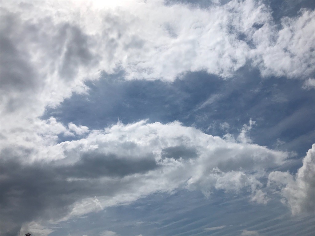 f:id:Magnoliarida:20200712172425j:image