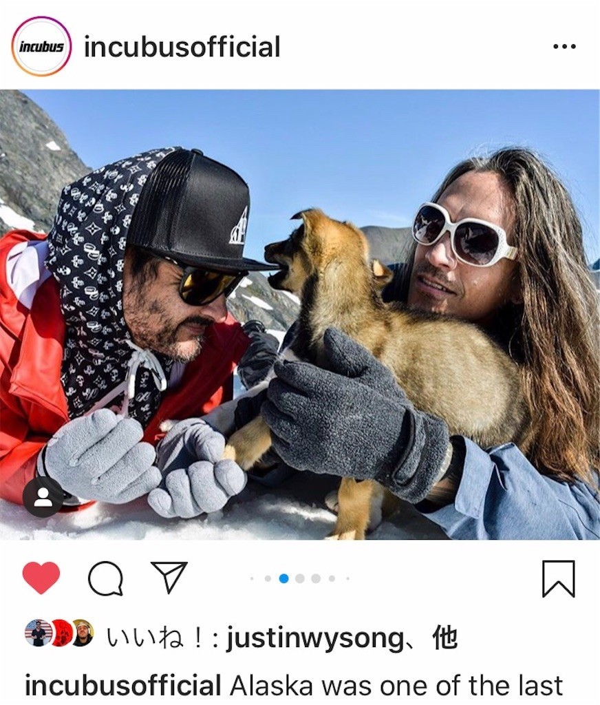 f:id:Magnoliarida:20200801093841j:image f:id:Magnoliarida:20200801093841j:image