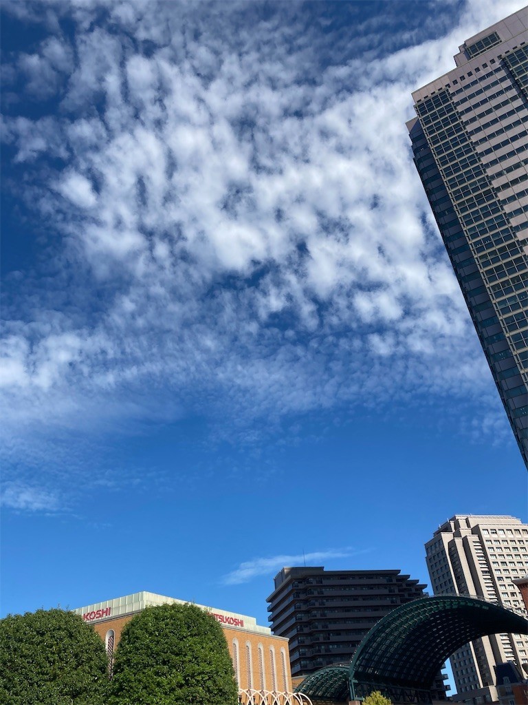 f:id:Magnoliarida:20200811152708j:image