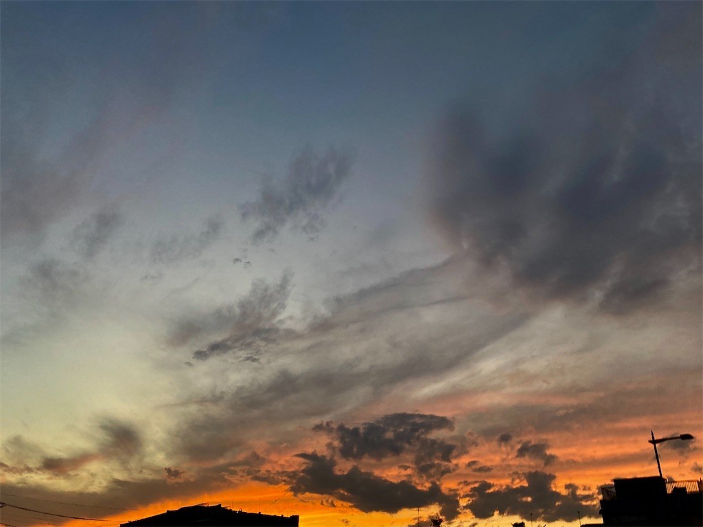 f:id:Magnoliarida:20200814001055j:image f:id:Magnoliarida:20200814001055j:image