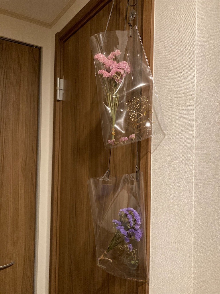 f:id:Magnoliarida:20200902203855j:image