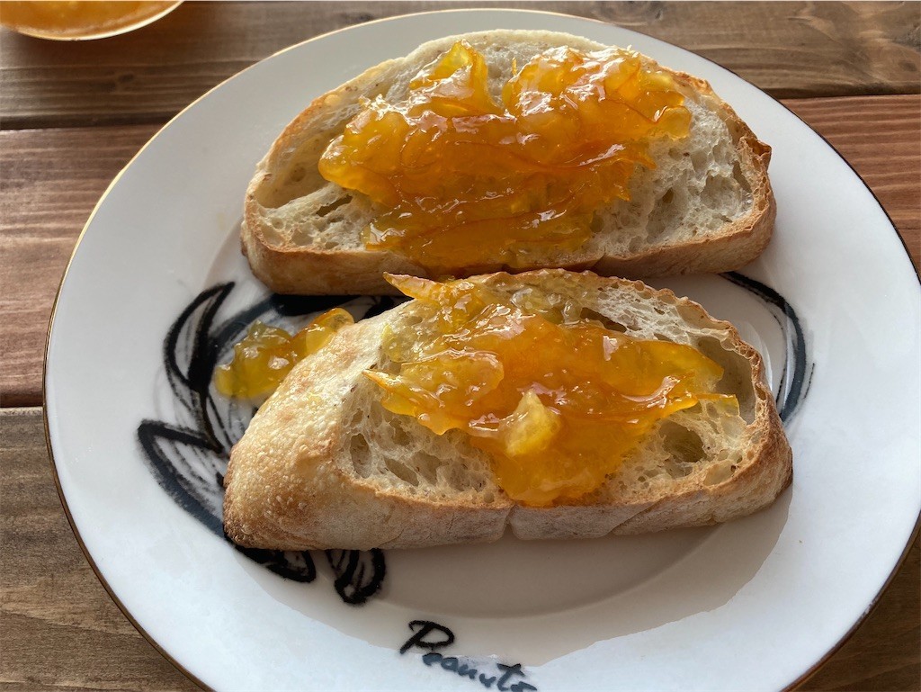 f:id:Magnoliarida:20200905112355j:image