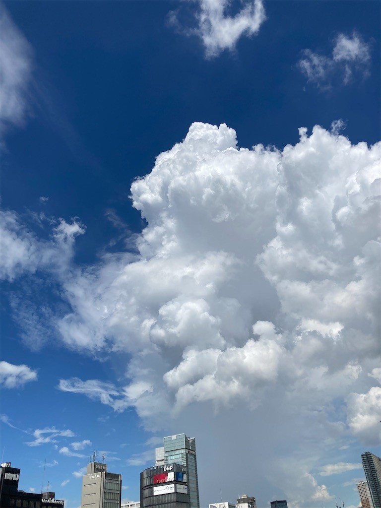 f:id:Magnoliarida:20200911130540j:image f:id:Magnoliarida:20200911130540j:image