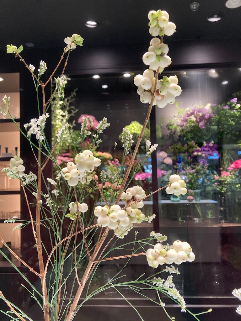 f:id:Magnoliarida:20200911224950j:image