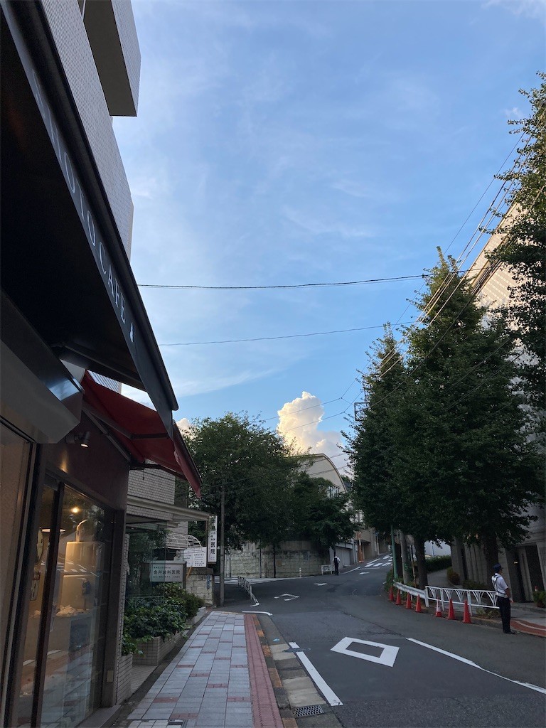 f:id:Magnoliarida:20200911225011j:image