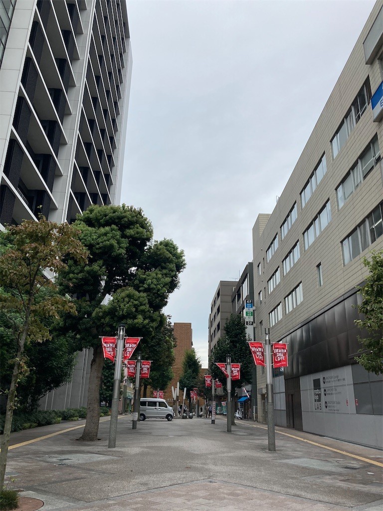 f:id:Magnoliarida:20200920194245j:image