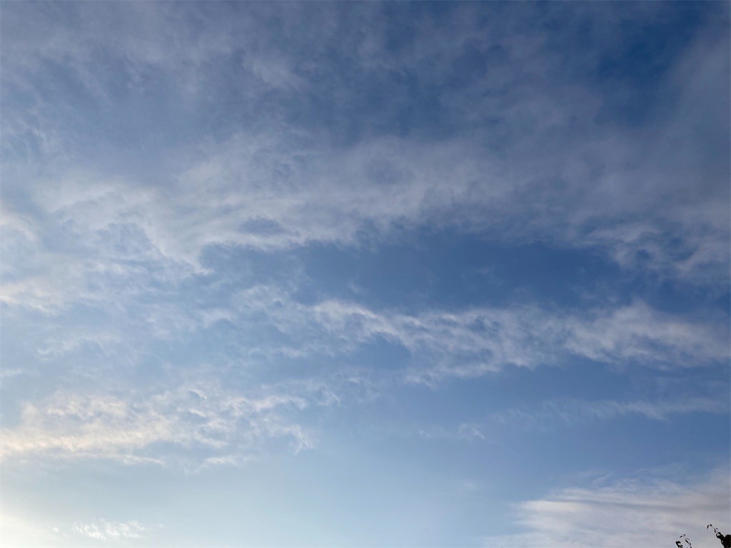 f:id:Magnoliarida:20201014083917j:image