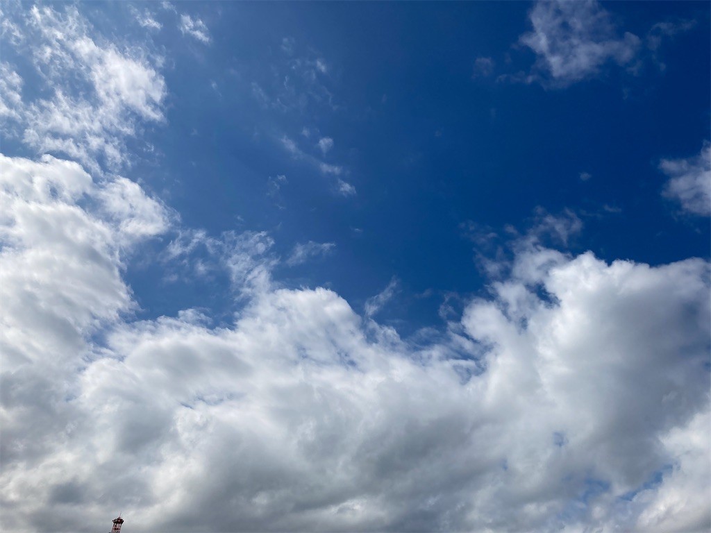 f:id:Magnoliarida:20201024123540j:image f:id:Magnoliarida:20201024123540j:image