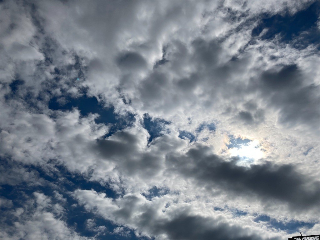 f:id:Magnoliarida:20201024123754j:image f:id:Magnoliarida:20201024123754j:image