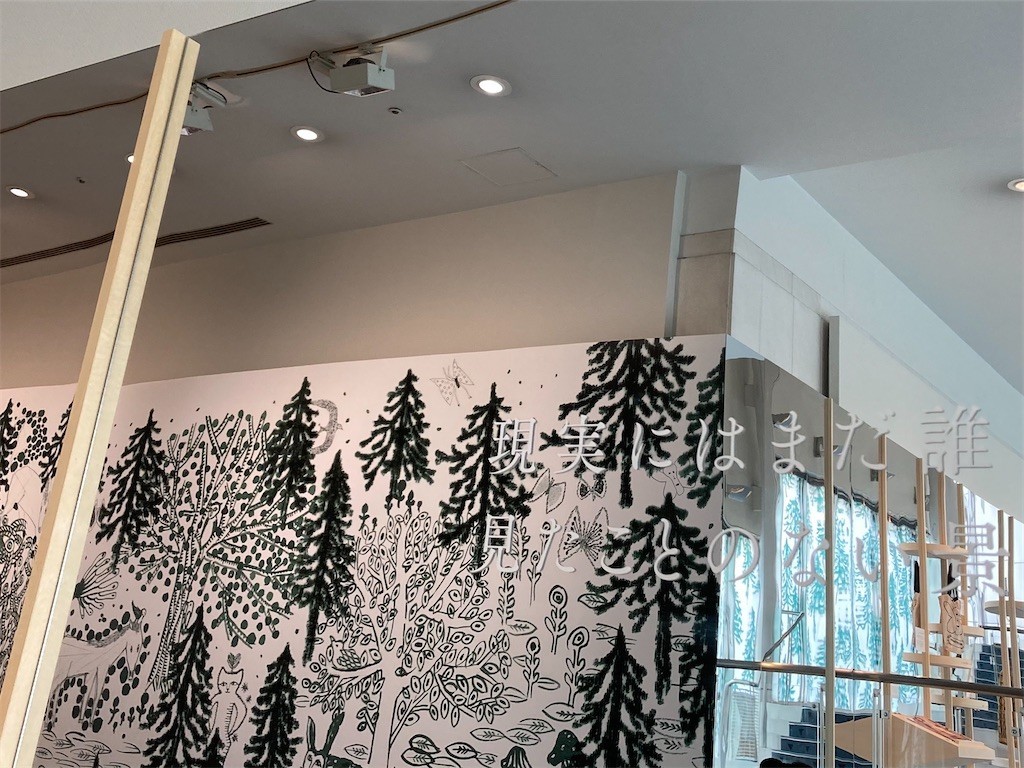 f:id:Magnoliarida:20201108144809j:image