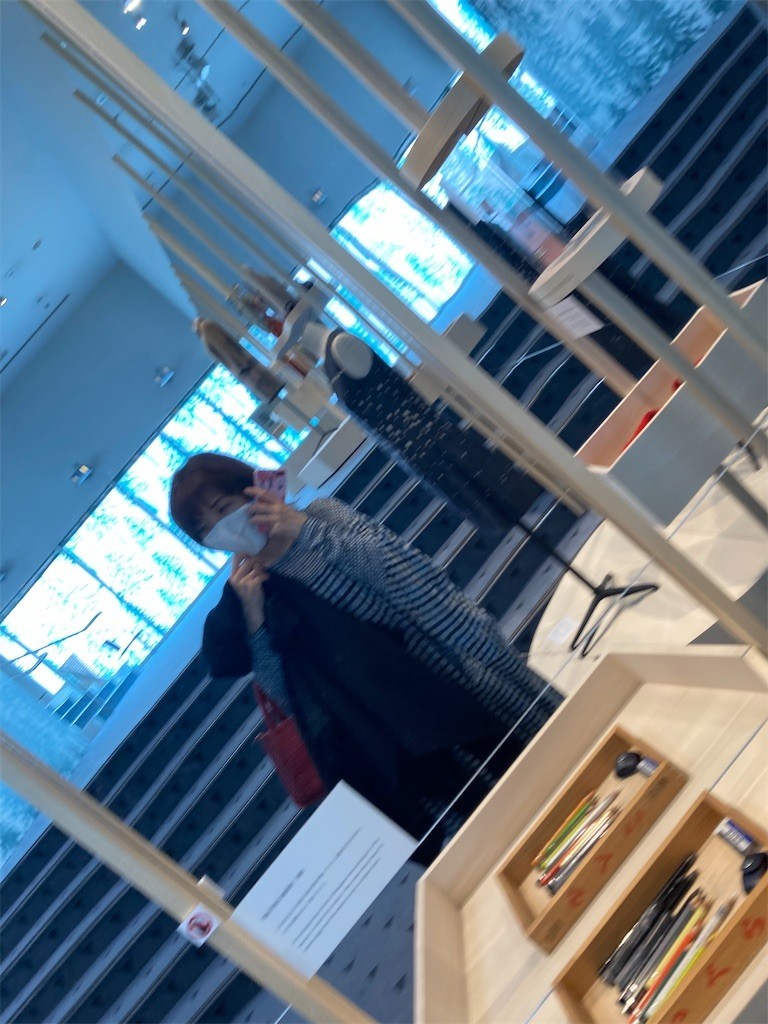 f:id:Magnoliarida:20201108151624j:image