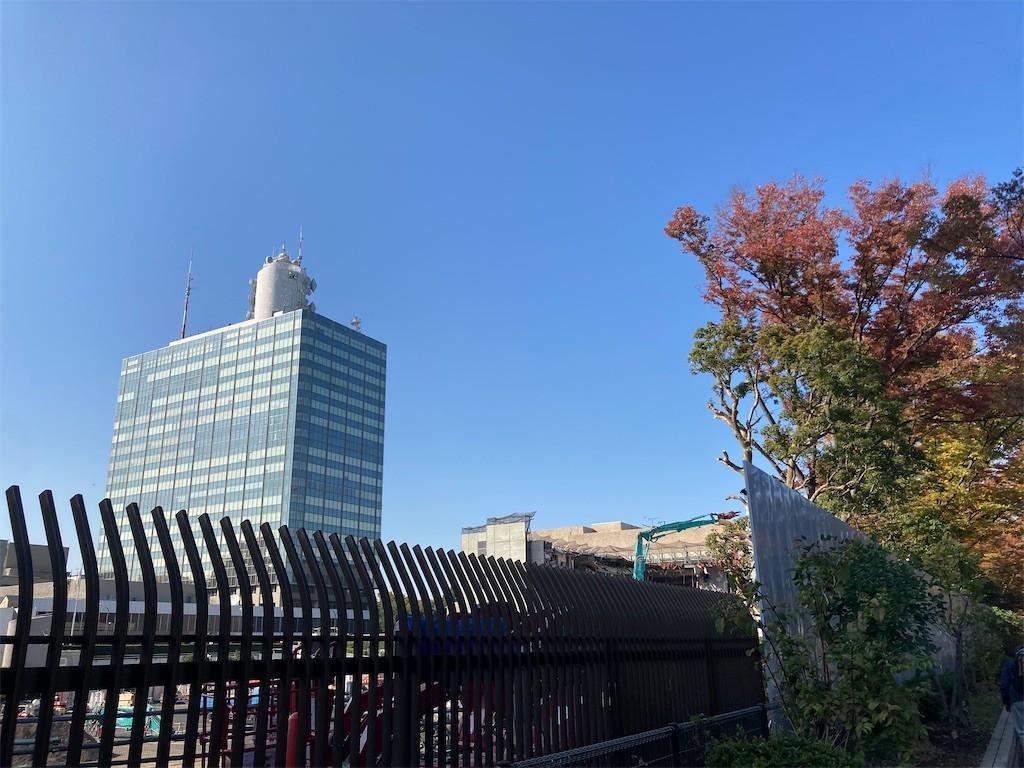 f:id:Magnoliarida:20201113182232j:image