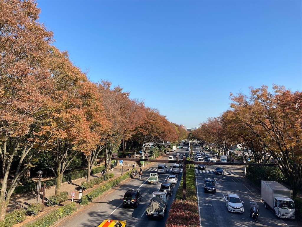 f:id:Magnoliarida:20201113182245j:image