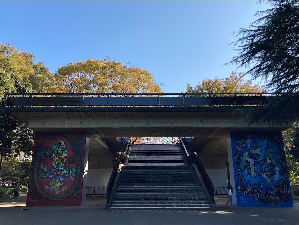 f:id:Magnoliarida:20201113182705j:image