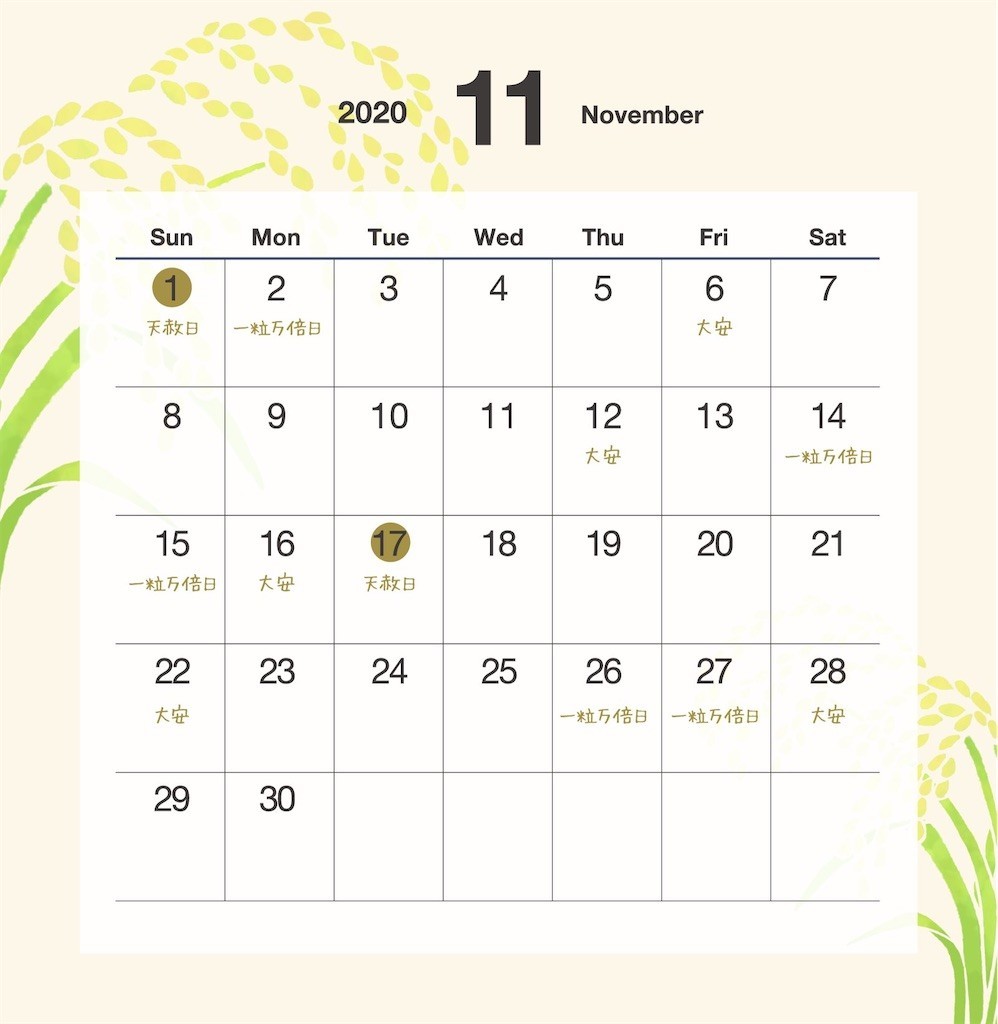 f:id:Magnoliarida:20201117083601j:image