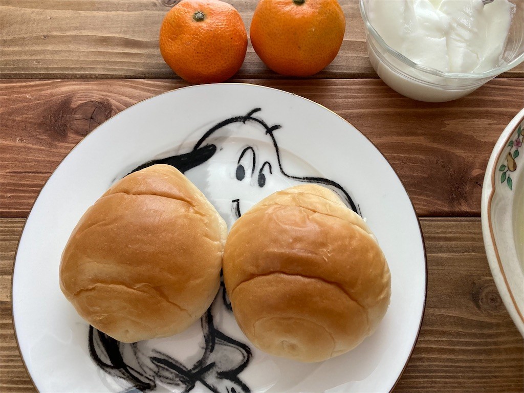 f:id:Magnoliarida:20201118084522j:image f:id:Magnoliarida:20201118084522j:image