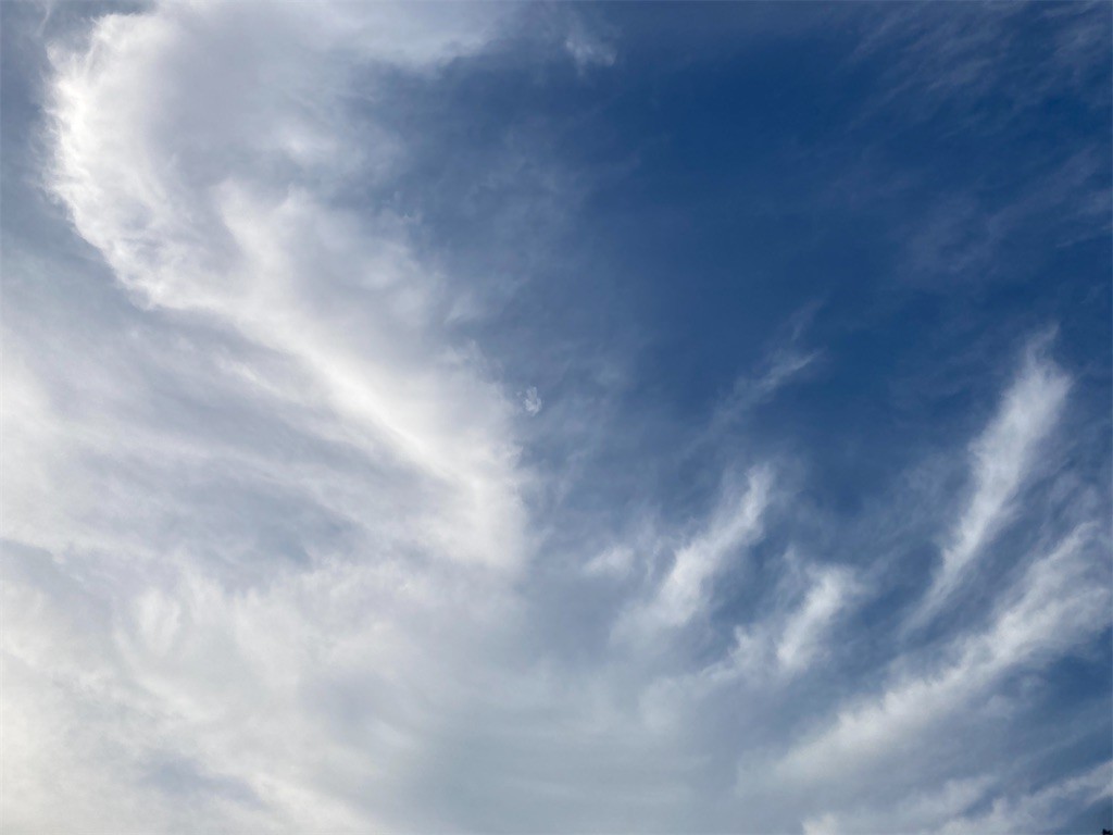 f:id:Magnoliarida:20201119085124j:image