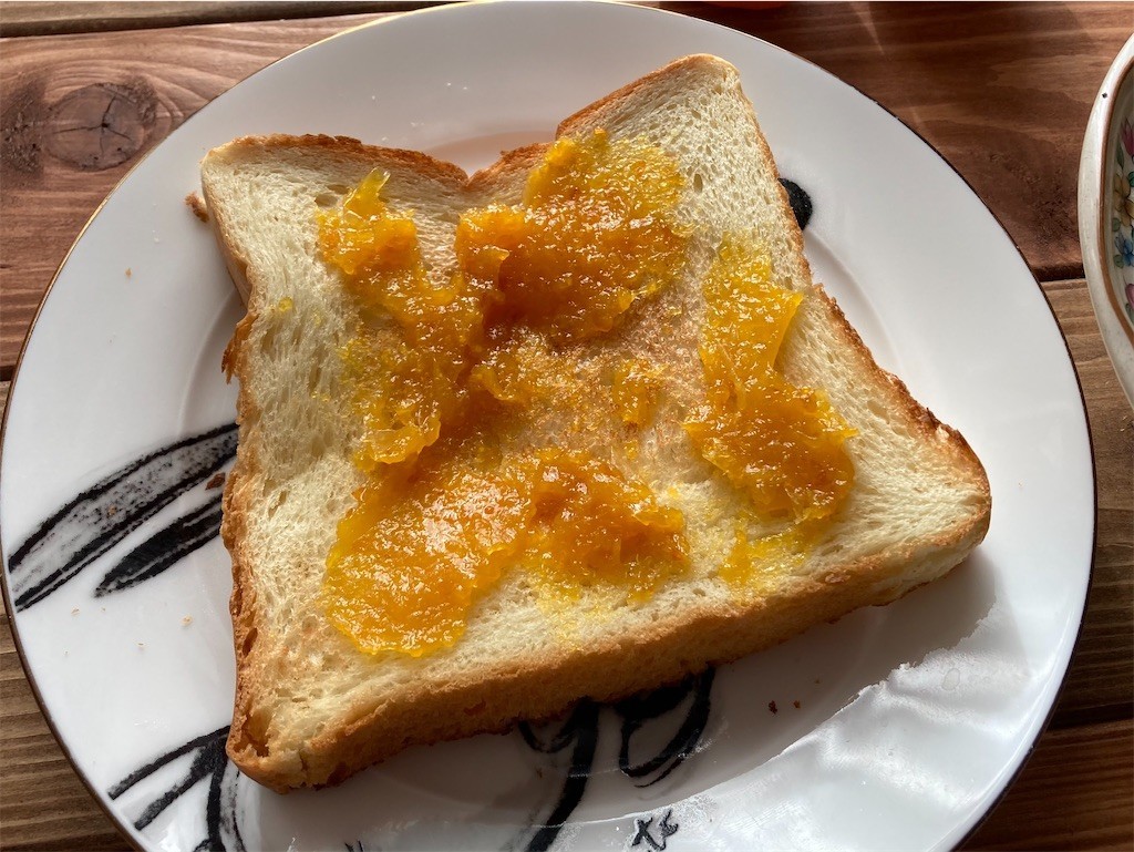 f:id:Magnoliarida:20201123092645j:image