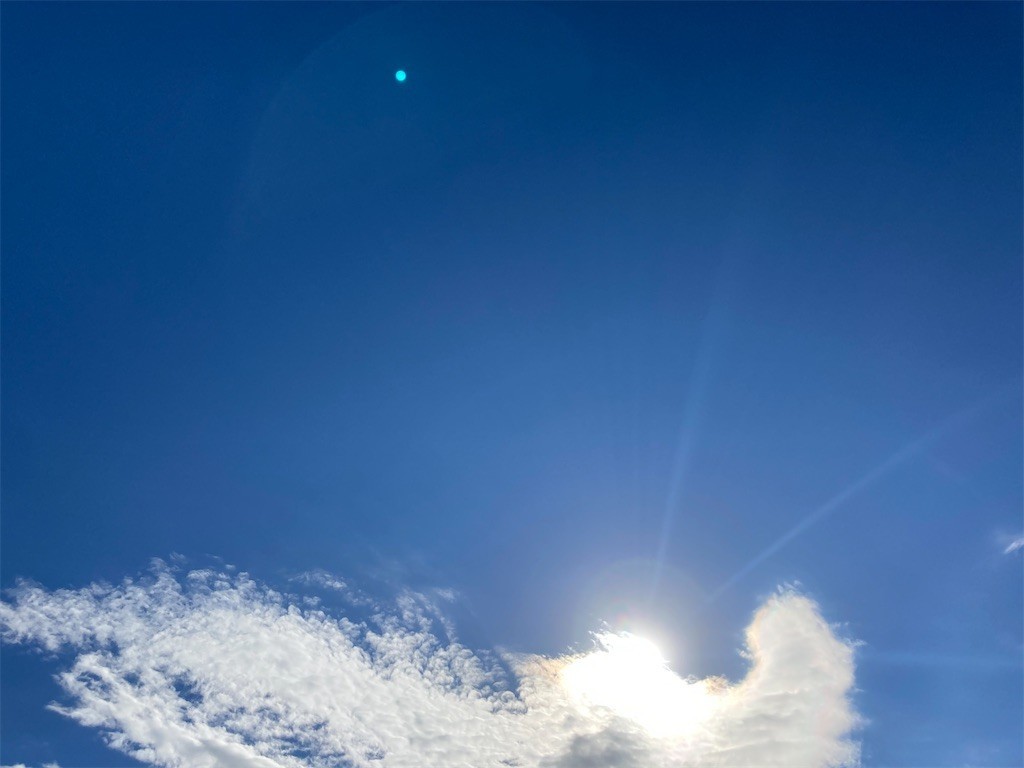 f:id:Magnoliarida:20201123101030j:image